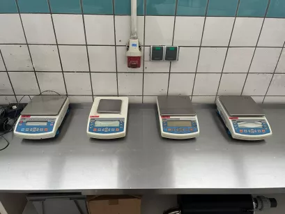 Wagi Radwag 11 szt. róże modele